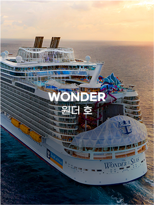 원더호